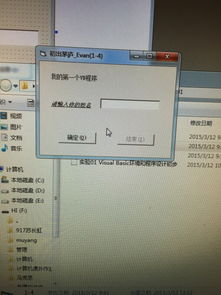 计算机编程与Visual Basic 入门与展望